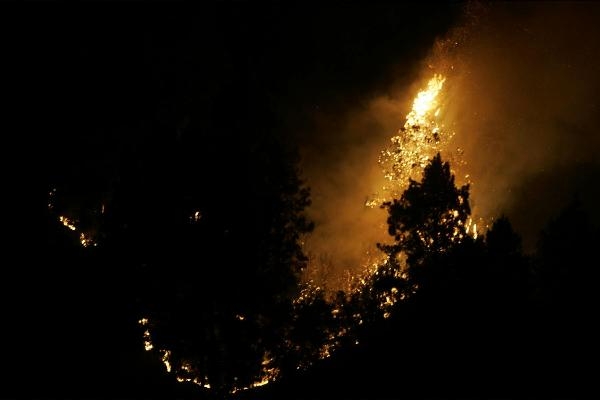 Waldbrand im Sommer 2006 auf Teneriffa