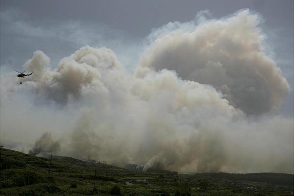 Waldbrand im Sommer 2006 auf Teneriffa