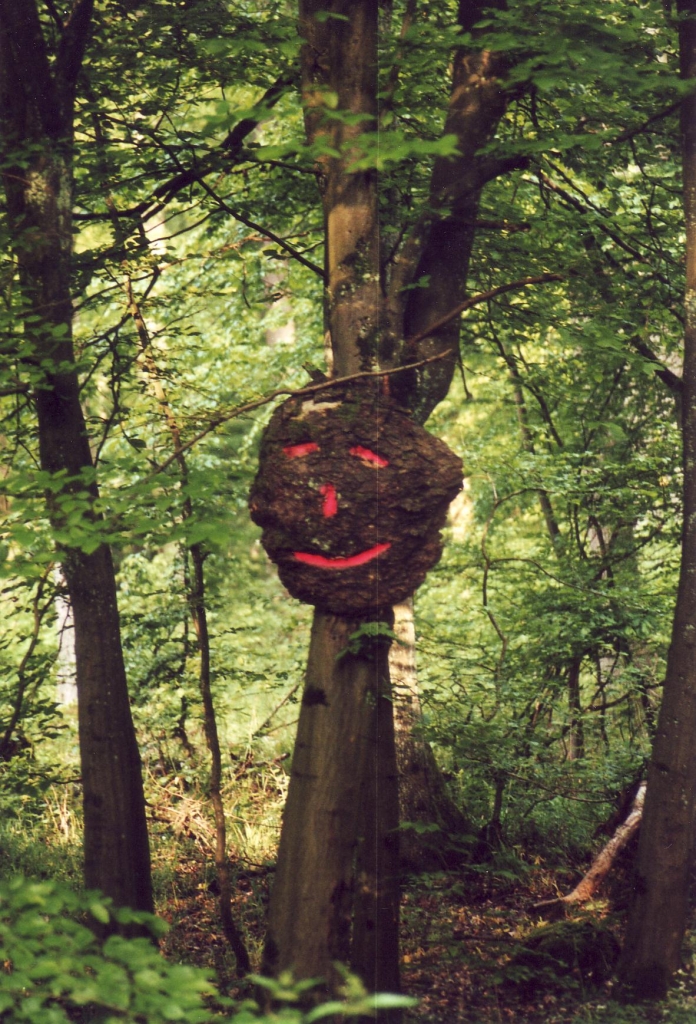 Hüter des Waldes