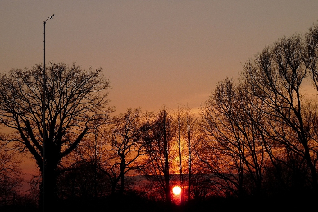2009-03-30 006a.jpg