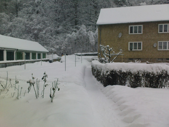 Winter in Ilsenburg