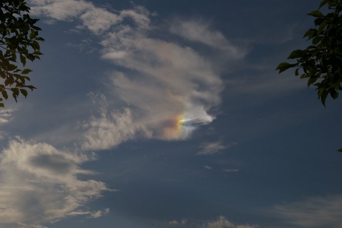 Halo