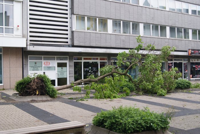 DSC04990.JPG