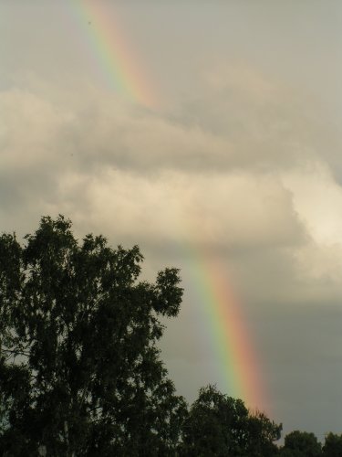 PICT4970.JPG
