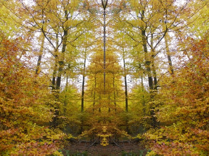 Herbst