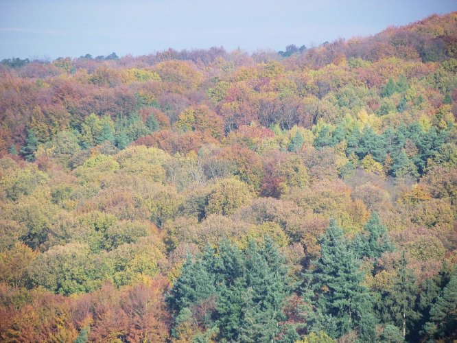 Herbst