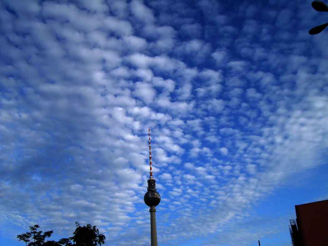 altocumulus floccus