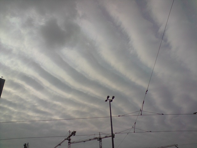 Altocumulus undulatus
