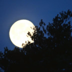 Monduntergang in Großkoschen