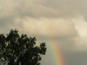 PICT4970.JPG